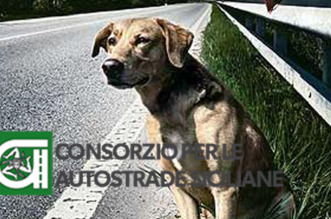 campagna-contro-labbandono-dei-cani-in-autostrada