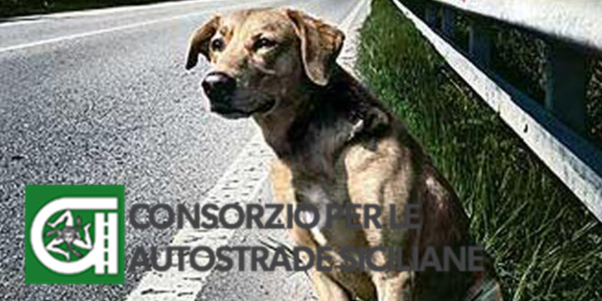 campagna-contro-labbandono-dei-cani-in-autostrada
