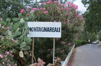 Montagnareale2-800x524