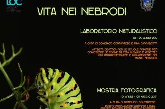 Senza titolo