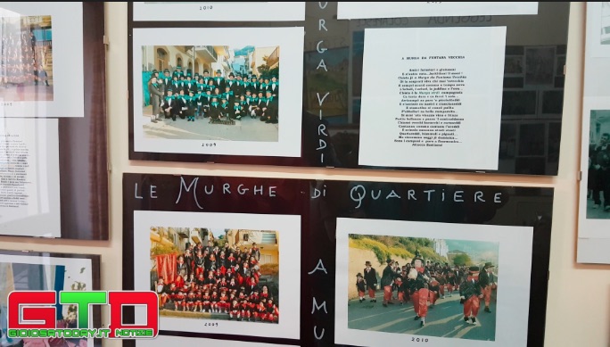 murgo 1