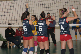 Saracena 17