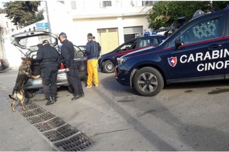 carabinieri cinofili