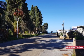 Foto Capo d'Orlando - Tartaruga