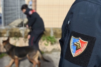 carabinieri-cinofili foto repertorio